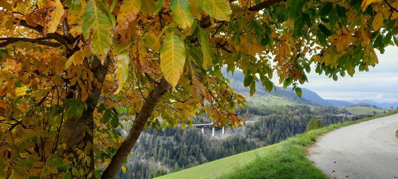 Steinhof Apartment Gries Екстериор снимка